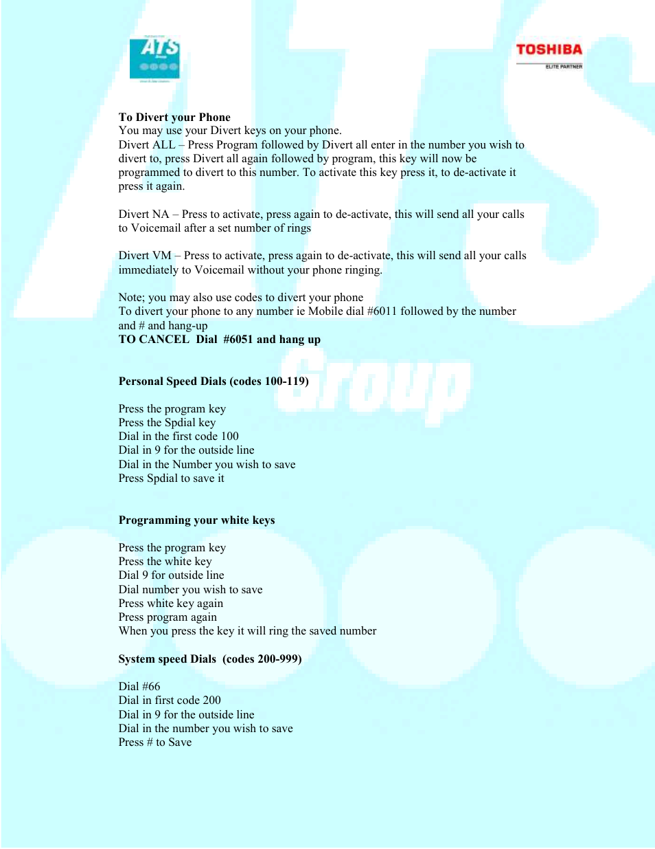 Toshiba CTX100 User Manual | Page 2 / 3