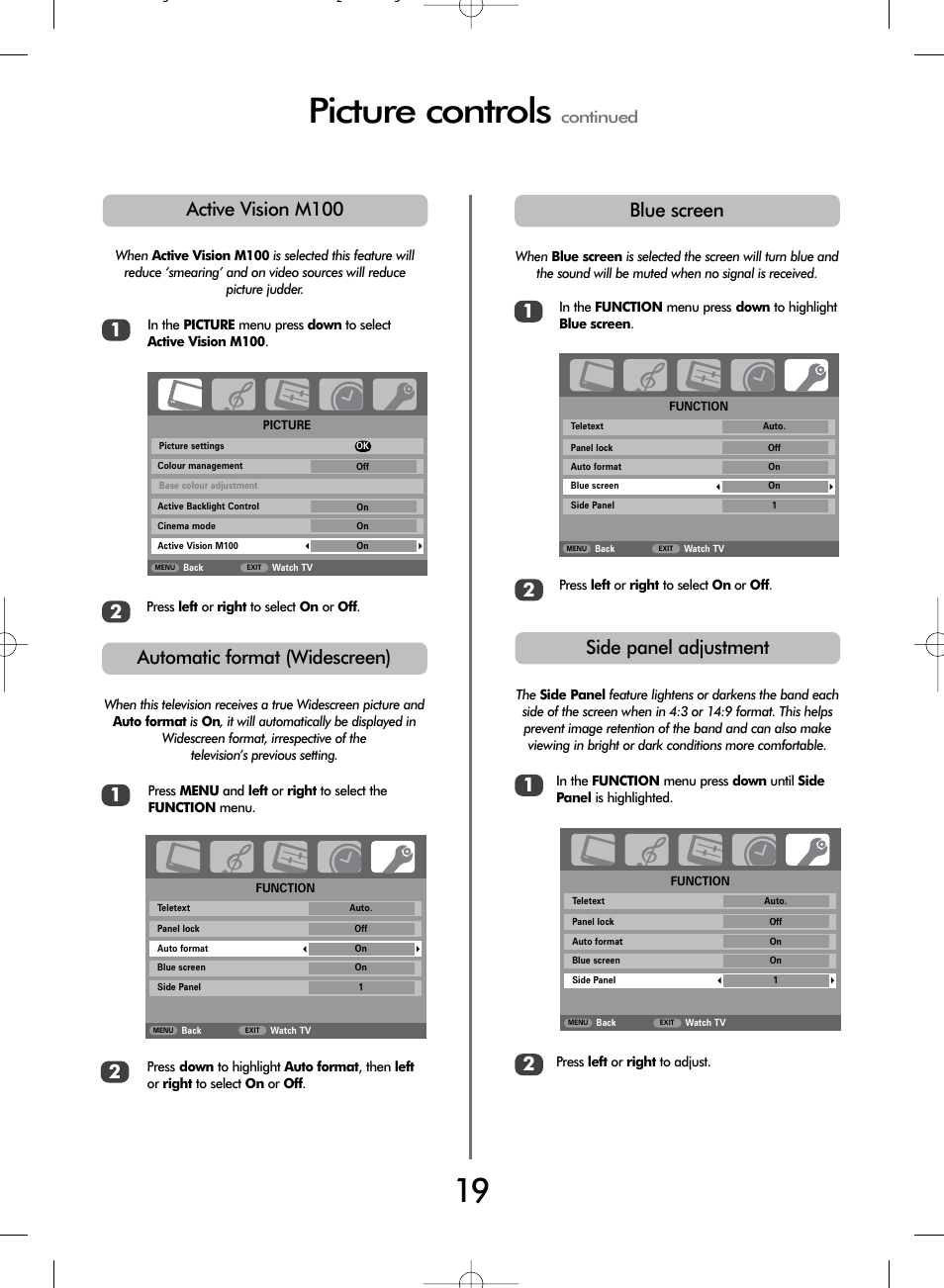 Picture controls, Automatic format (widescreen), Blue screen | 12 side panel adjustment, Active vision m100, Continued | Toshiba WL68 User Manual | Page 19 / 28