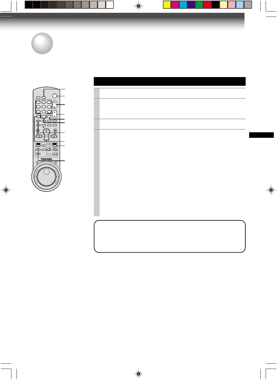Multi brand remote control, Setting control codes, Release prog | Toshiba W-717 User Manual | Page 41 / 47