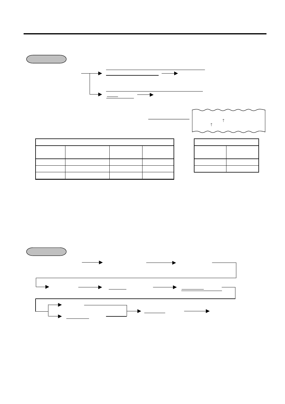 Sub-link plu entry, 20 sub-link plu entry | Toshiba MA-1595-1 User Manual | Page 49 / 263