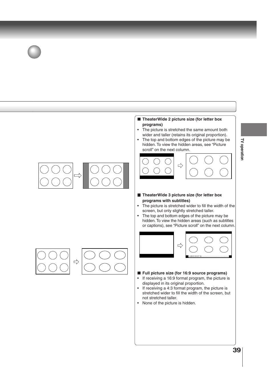 Toshiba MD30H82 User Manual | Page 39 / 72