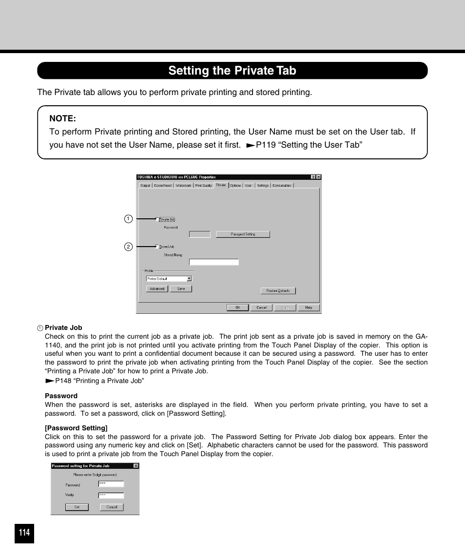 Setting the private tab | Toshiba 810 User Manual | Page 116 / 218