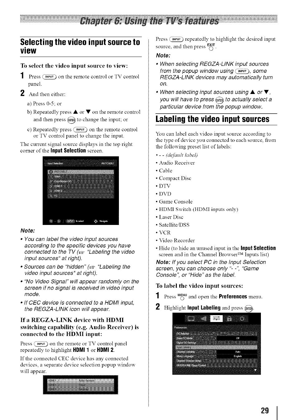 Selecting the video input source to view, Labeling the video input sources | Toshiba 19SL410U User Manual | Page 29 / 62