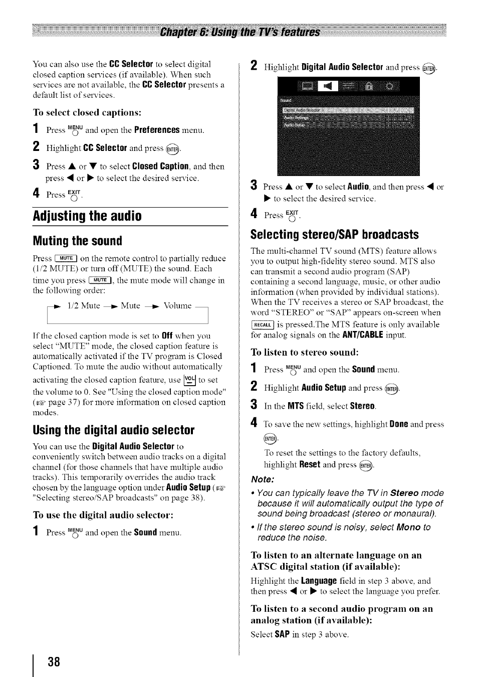 Adjusting the audio | Toshiba 19SL410U User Manual | Page 38 / 62