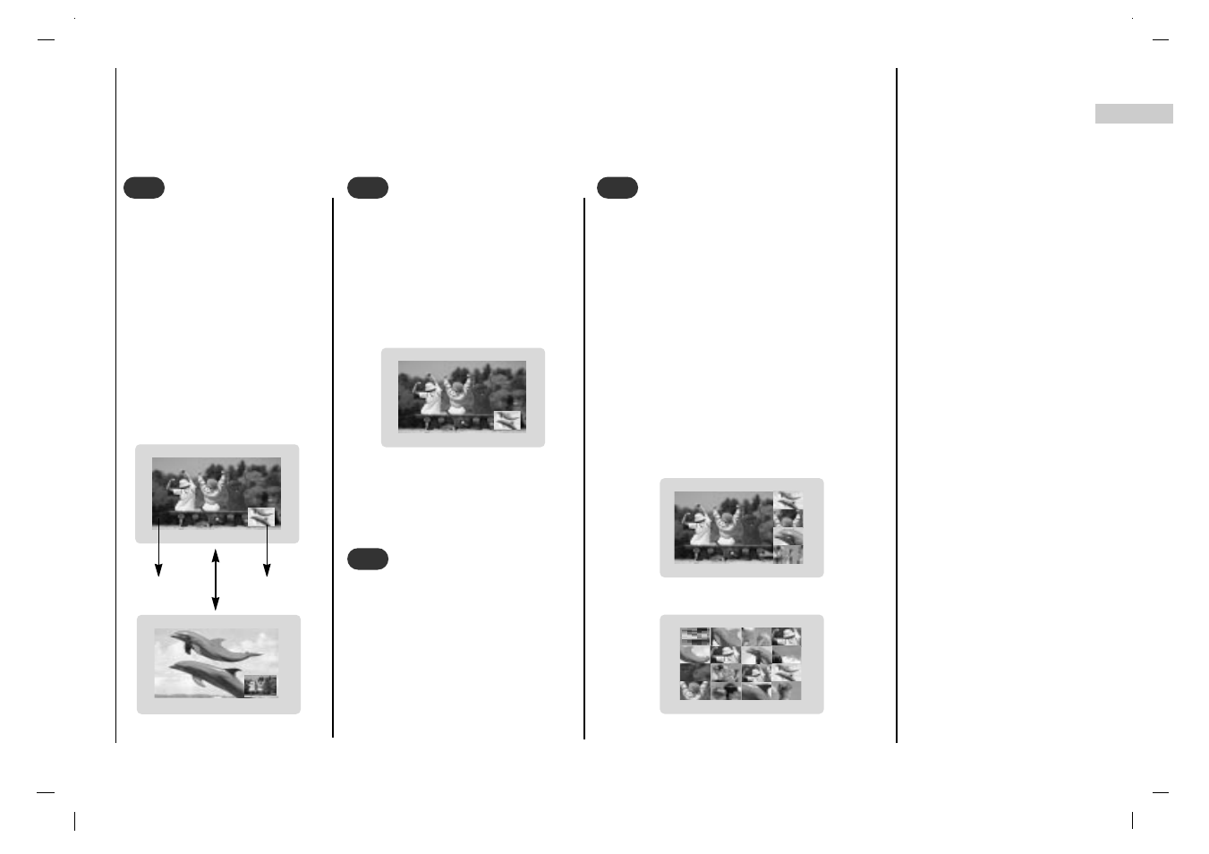 Pip (picture-in-picture) feature | Rolsen RL-37IT40 User Manual | Page 31 / 244