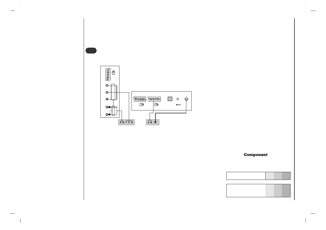 Branchements externes, Br (r) audio (l) (r) audio (l), Branchement d’un lecteur dvd | Rolsen RL-37IT40 User Manual | Page 46 / 244