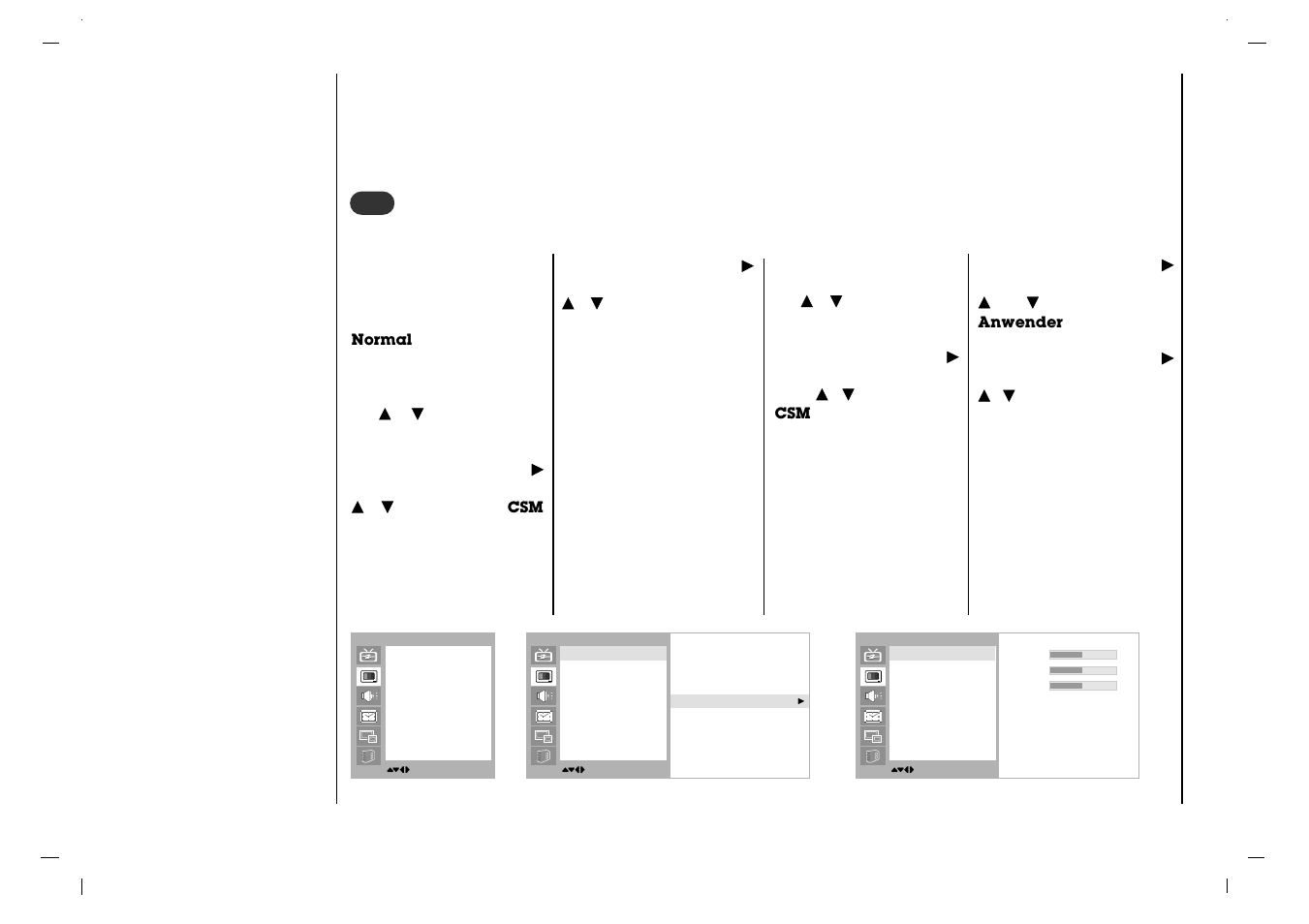 Bildeinstellungen, Csm (farbstatus) | Rolsen RL-37IT40 User Manual | Page 92 / 244