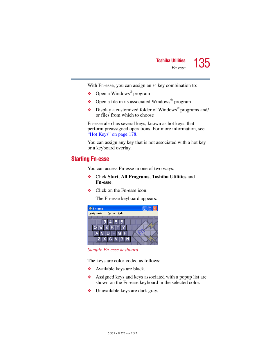 Starting fn-esse | Toshiba VIRTUALTECH C6609-1201M1 User Manual | Page 135 / 209