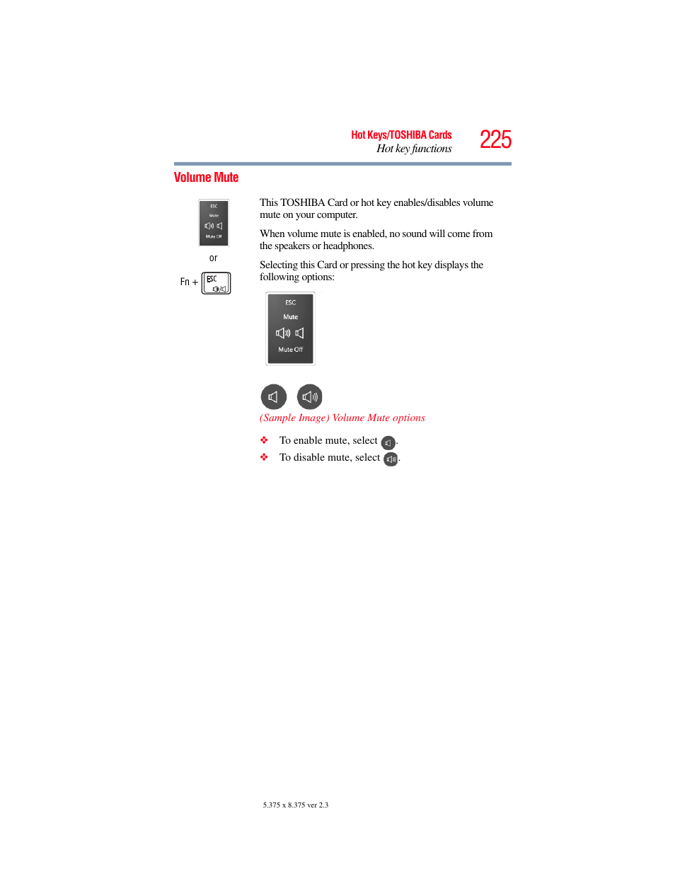 Volume mute | Toshiba SATELLITE M500 User Manual | Page 225 / 258