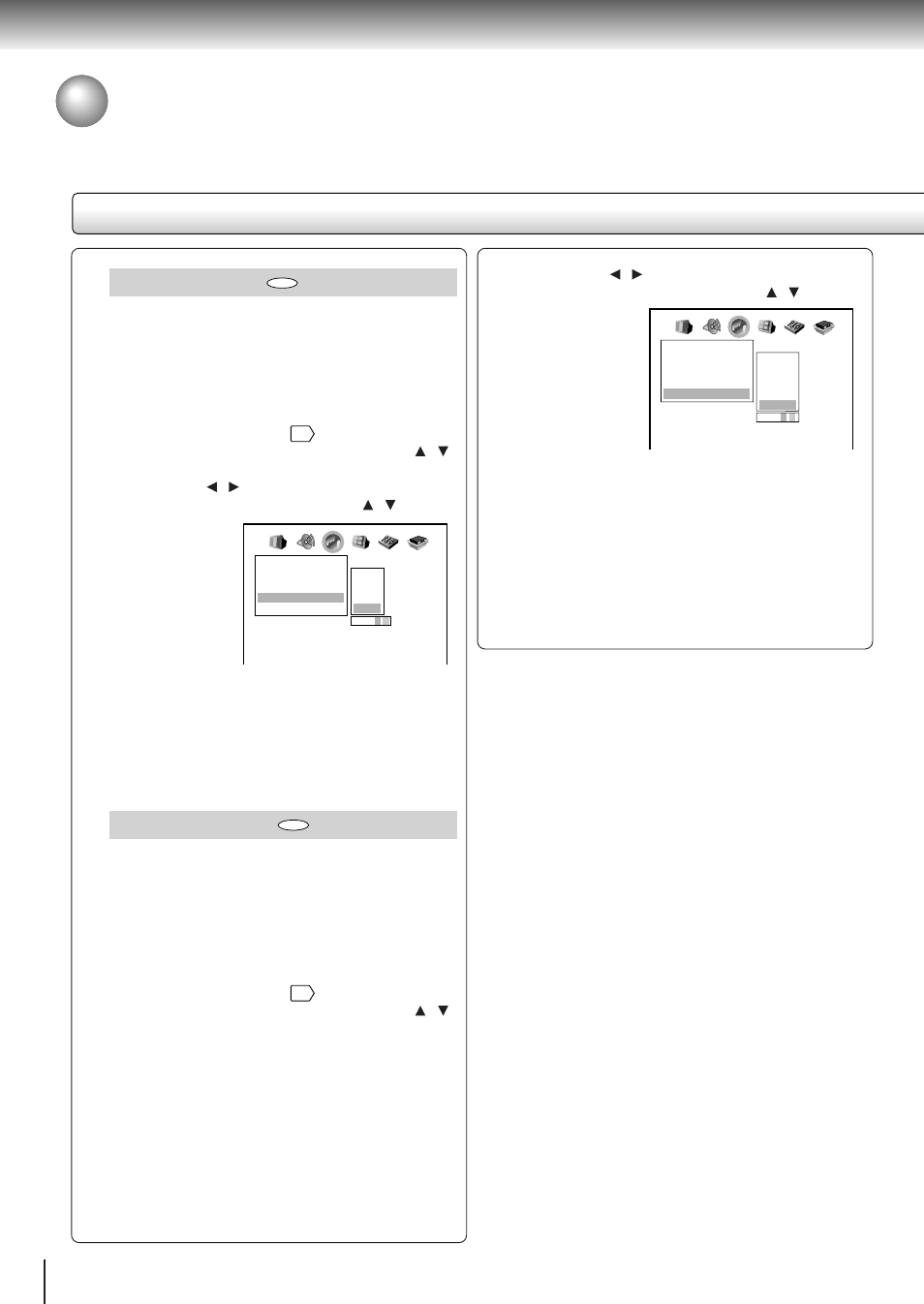 Customizing the function settings (continued), Setting details, Audio language | Subtitle language | Toshiba SD-310V User Manual | Page 49 / 59