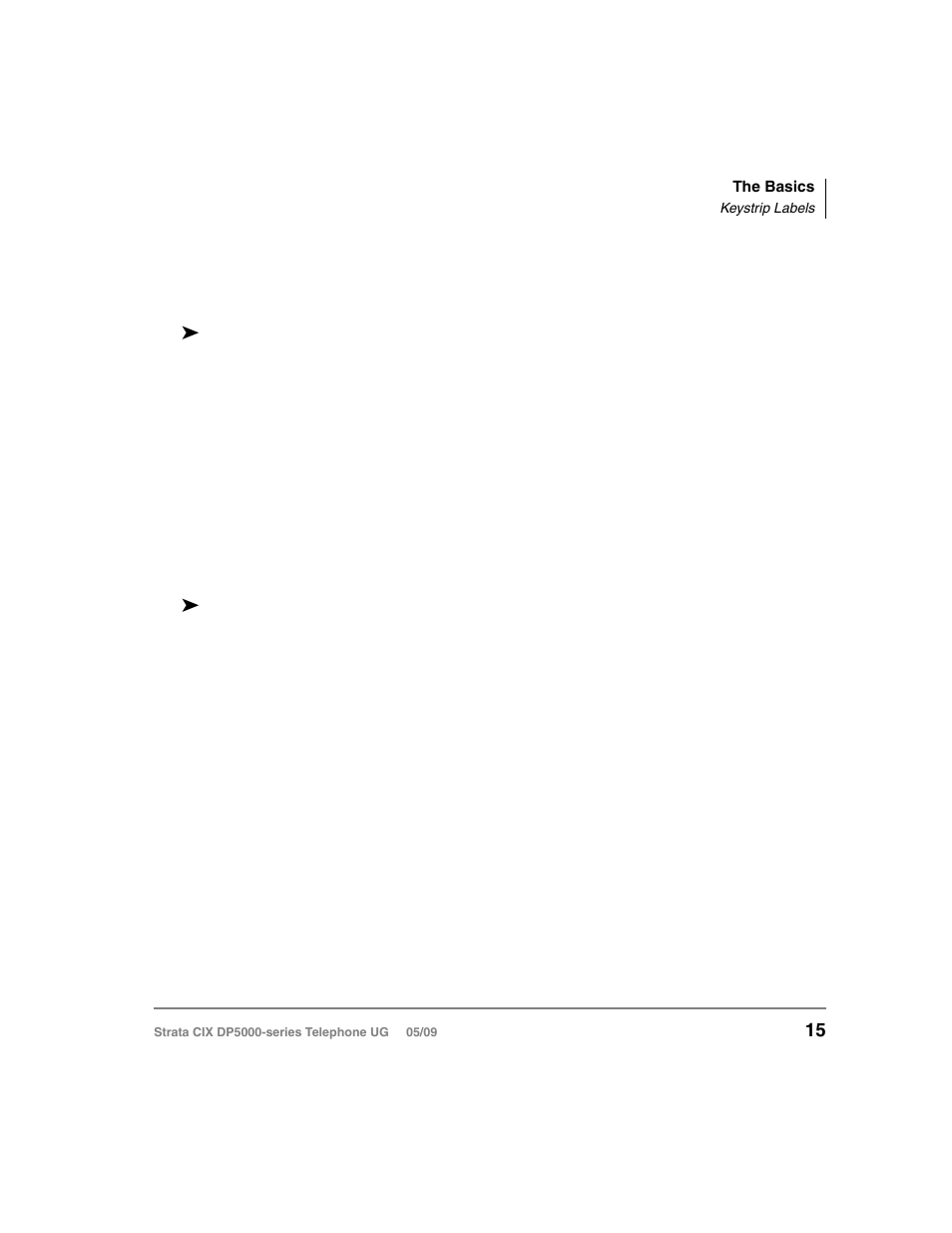 Keystrip labels, Ring tones, Keystrip labels ring tones | Toshiba STRATA DP5000 User Manual | Page 31 / 142