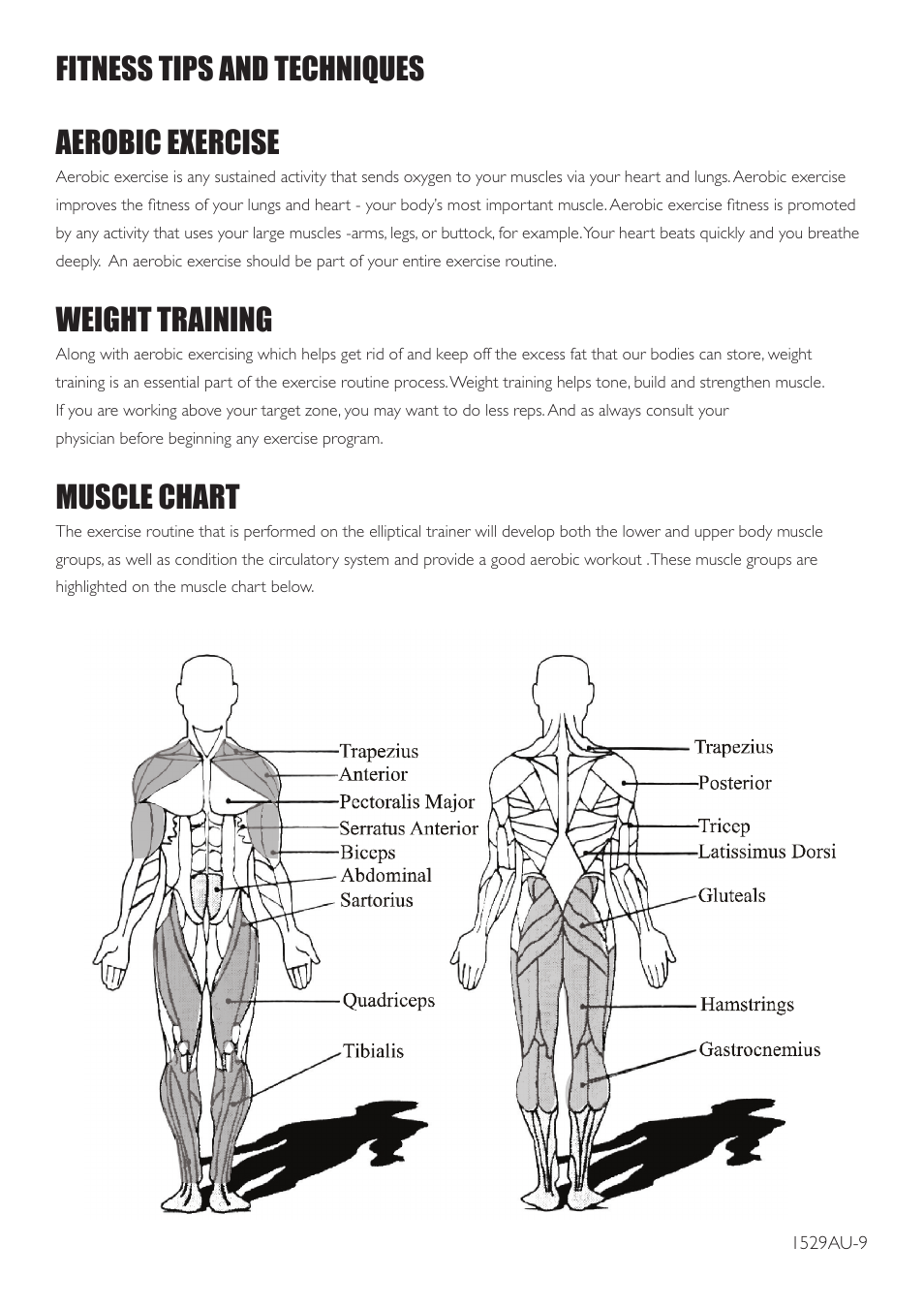 Fitness tips and techniques aerobic exercise, Weight training, Muscle chart | Trojan SOLO 200 User Manual | Page 9 / 16