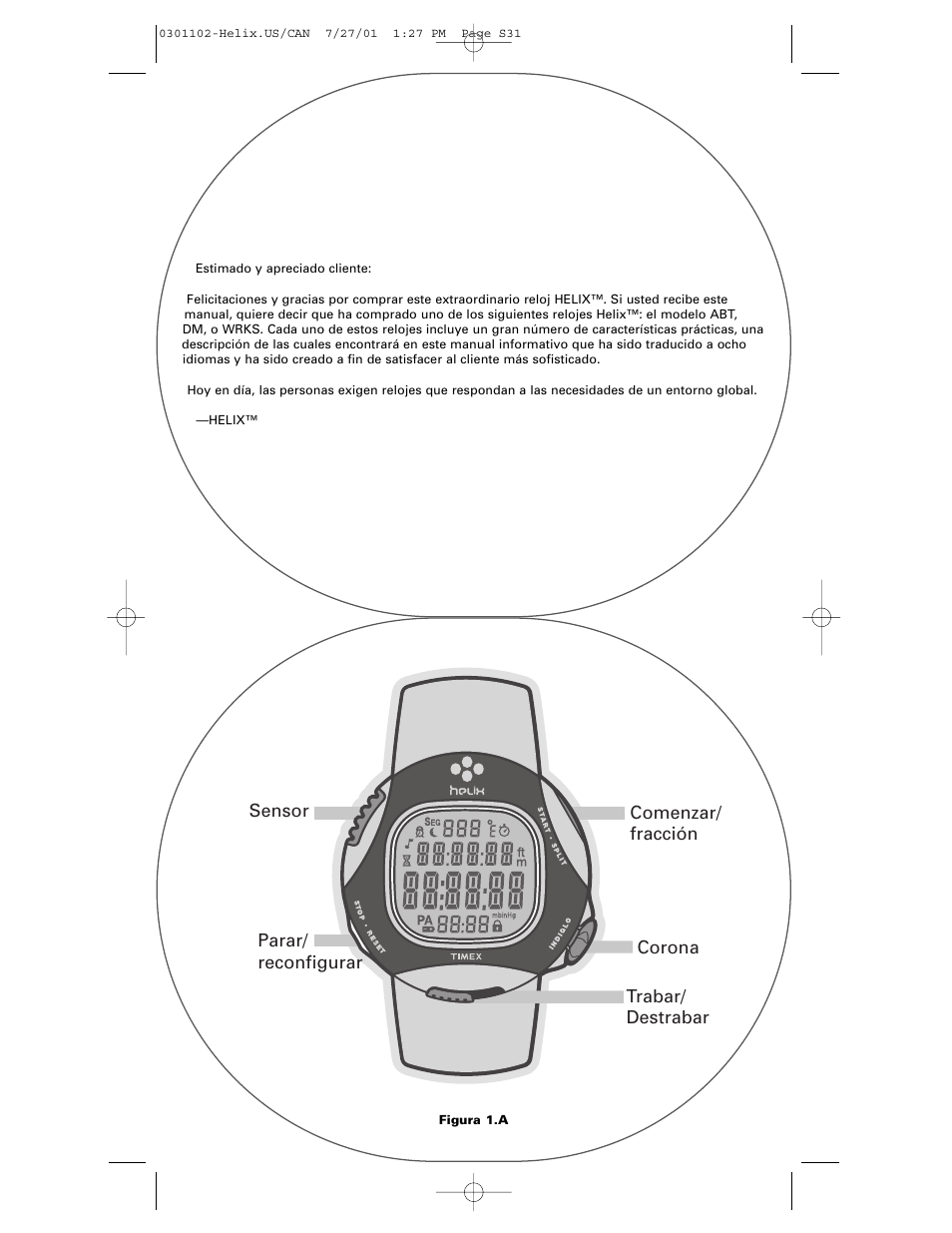 Timex Helix User Manual | Page 31 / 46