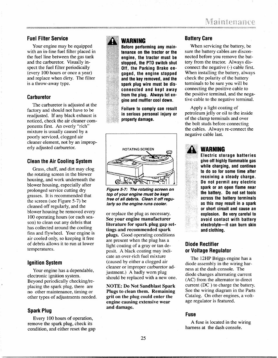 Fuel filter service, Carburetor, Clean the air cooling system | Ignition system, Spark plug, Warning, Battery care, Diode rectifier or voltage regulator, Fuse, Ignition system spark plug battery care | Troy-Bilt 13027 User Manual | Page 25 / 32