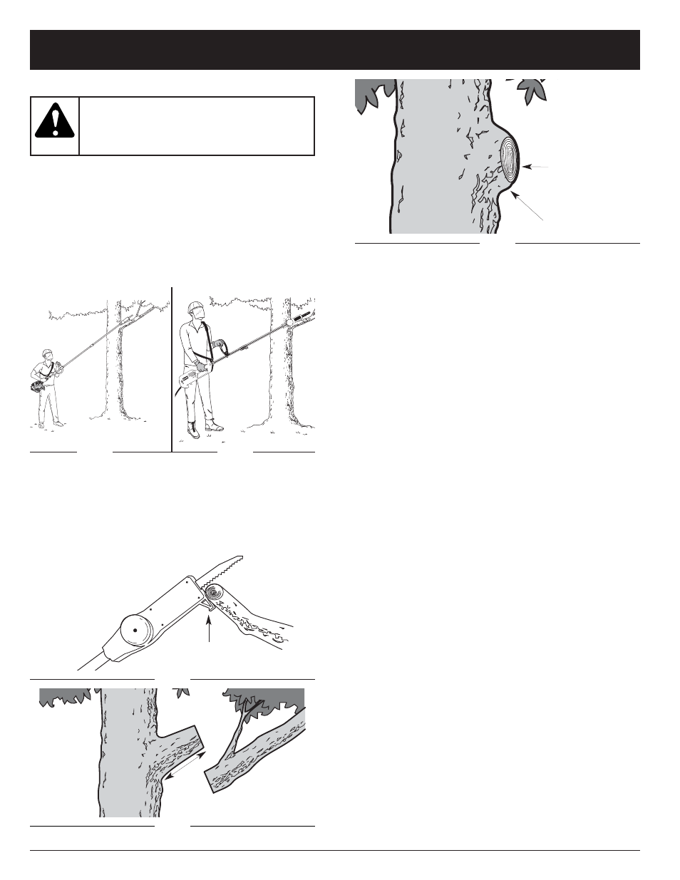 Mode d'emploi | Troy-Bilt TBTP User Manual | Page 21 / 36