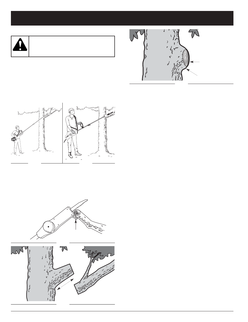 Instrucciones de operación | Troy-Bilt TBTP User Manual | Page 33 / 36