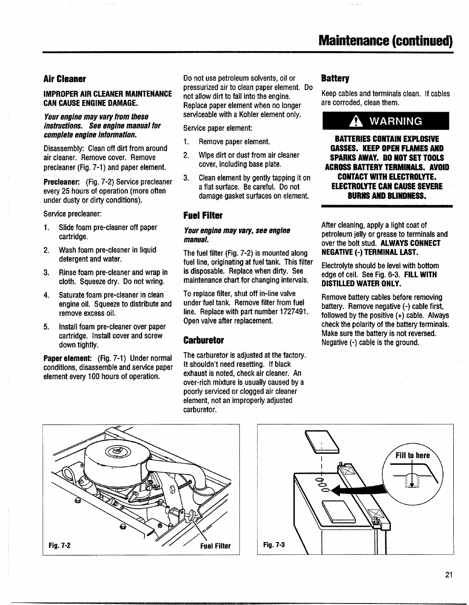 Air cleaner, Fuel filter, Carburetor | Battery, Maintenance (continued) | Troy-Bilt GTX 20 User Manual | Page 21 / 28