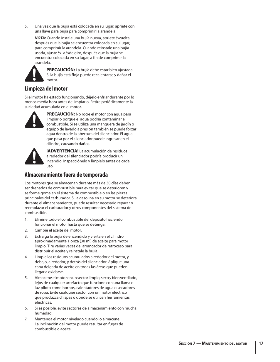 Limpieza del motor, Almacenamiento fuera de temporada | Troy-Bilt 769-04000A User Manual | Page 41 / 48