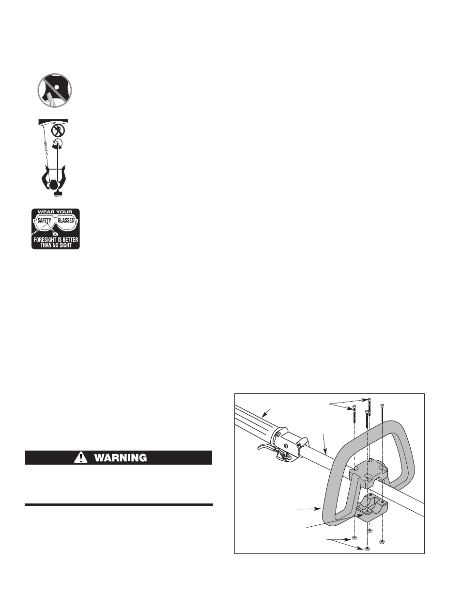 Assembly, Safety (continued) | Troy-Bilt 41 AM079G063 User Manual | Page 6 / 52