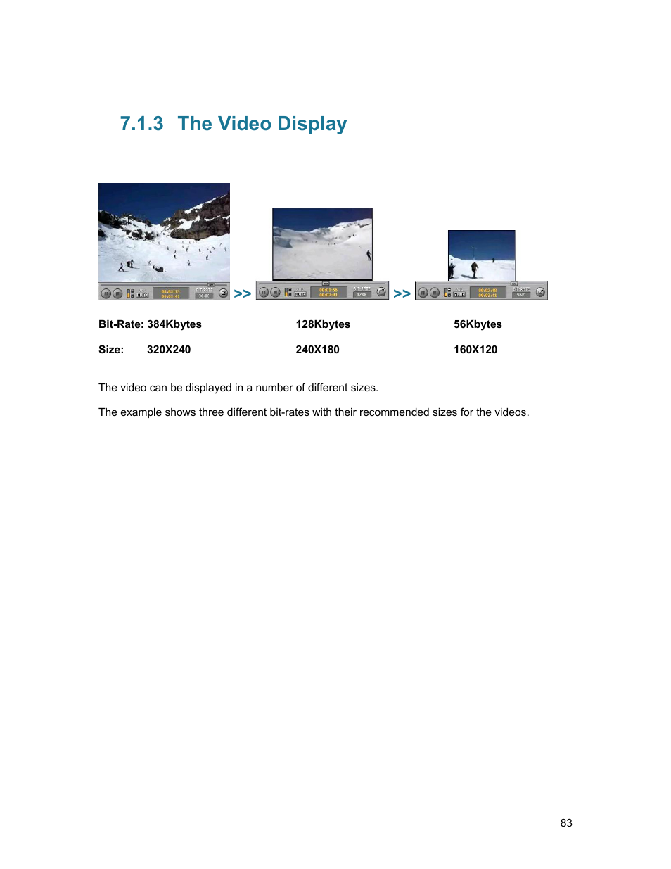 3 the video display, The video display | TANDBERG D1389801 User Manual | Page 93 / 113