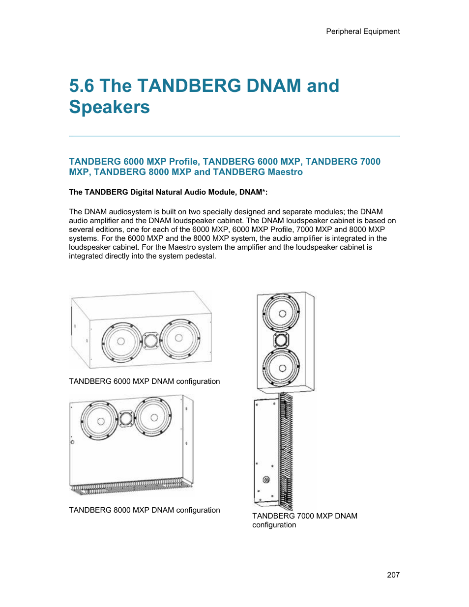 6 the tandberg dnam and speakers | TANDBERG 1500MXP User Manual | Page 219 / 275