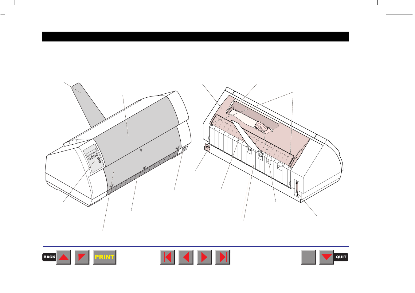 Printer at a glance | Tally Genicom MATRIX PRINTER 2250 User Manual | Page 11 / 216