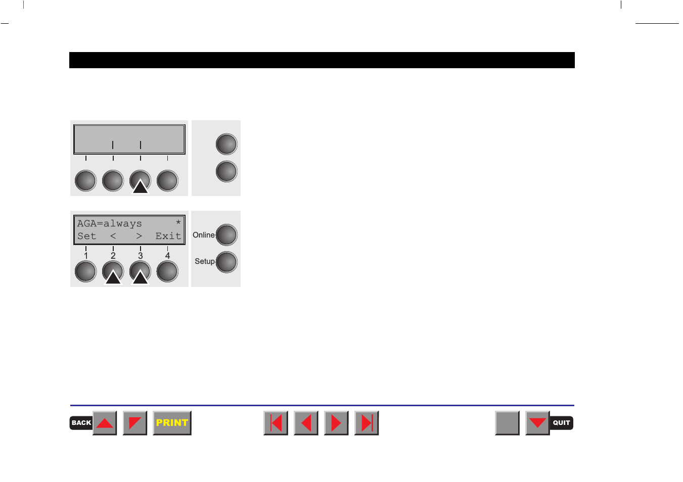 Setting the aga function | Tally Genicom MATRIX PRINTER 2250 User Manual | Page 90 / 216