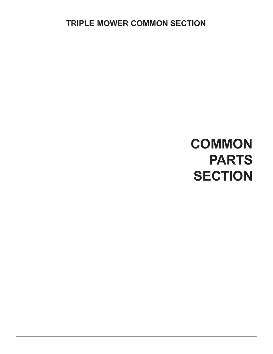 Tiger Products Co., Ltd JD 5520 User Manual | Page 107 / 222