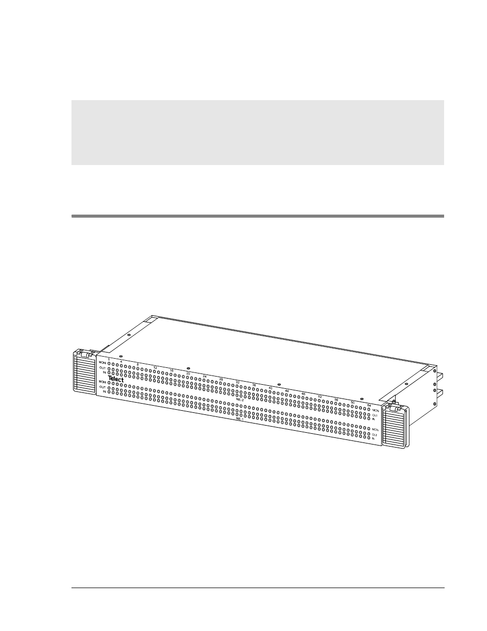 Dni-1b, Capabilities, Descriptions | Telect DNI-1B User Manual | Page 6 / 24