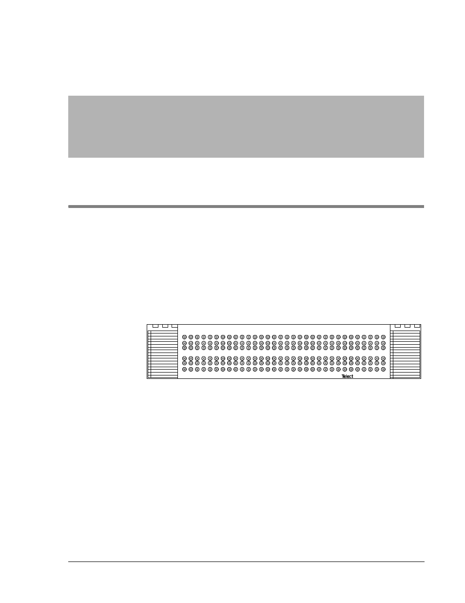 1 descriptions, Digital network interface panel, Capabilities | Features, Descriptions, Igital, Etwork, Nterface, Anel | Telect T3 User Manual | Page 5 / 20