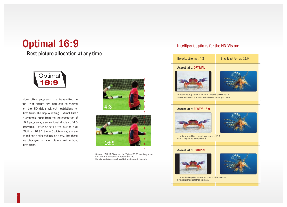 Optimal 16:9, Best picture allocation at any time, Intelligent options for the hd-vision | TechniSat HD-Vision DVB-T User Manual | Page 12 / 48