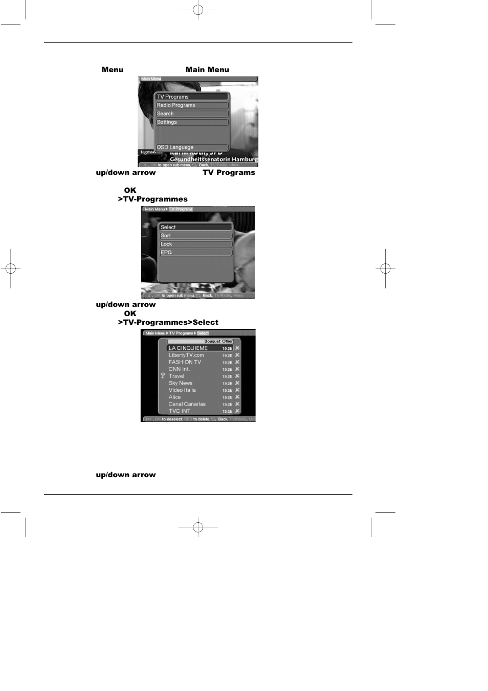 1 adding/deleting channels | TechniSat CAM 1 plus User Manual | Page 30 / 46