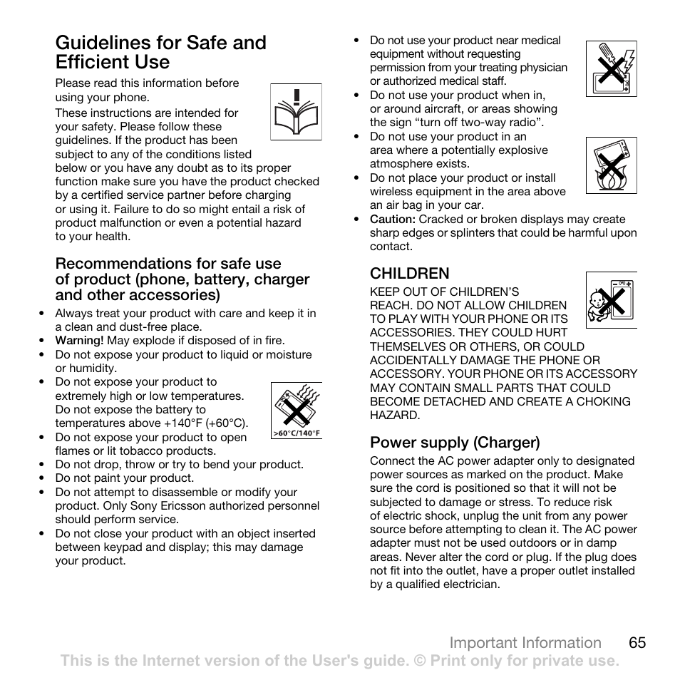 Guidelines for safe and efficient use, 65 important information, Children | Power supply (charger) | Tannoy Z555A User Manual | Page 67 / 78