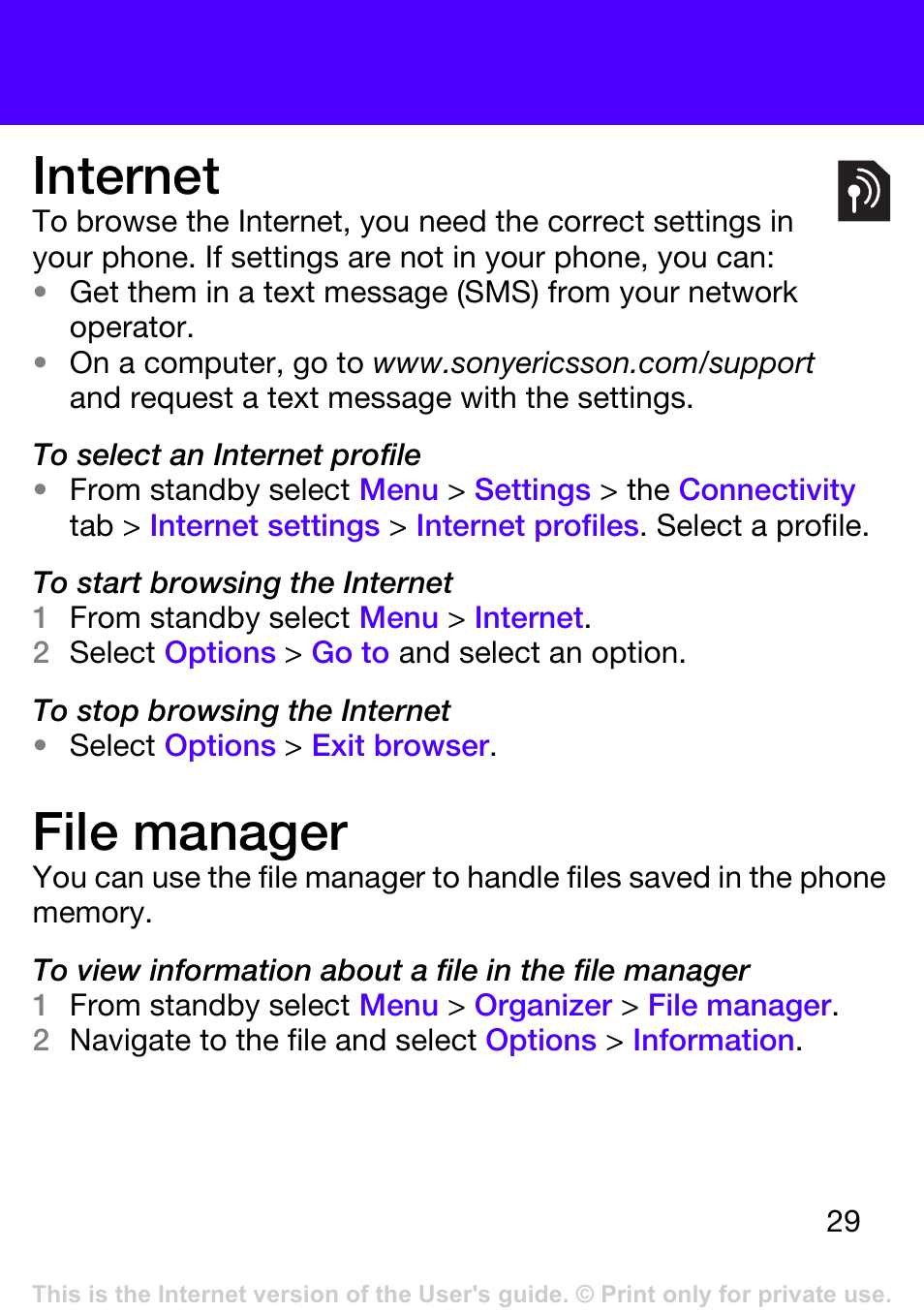 Internet, File manager | Tannoy T303 User Manual | Page 29 / 42