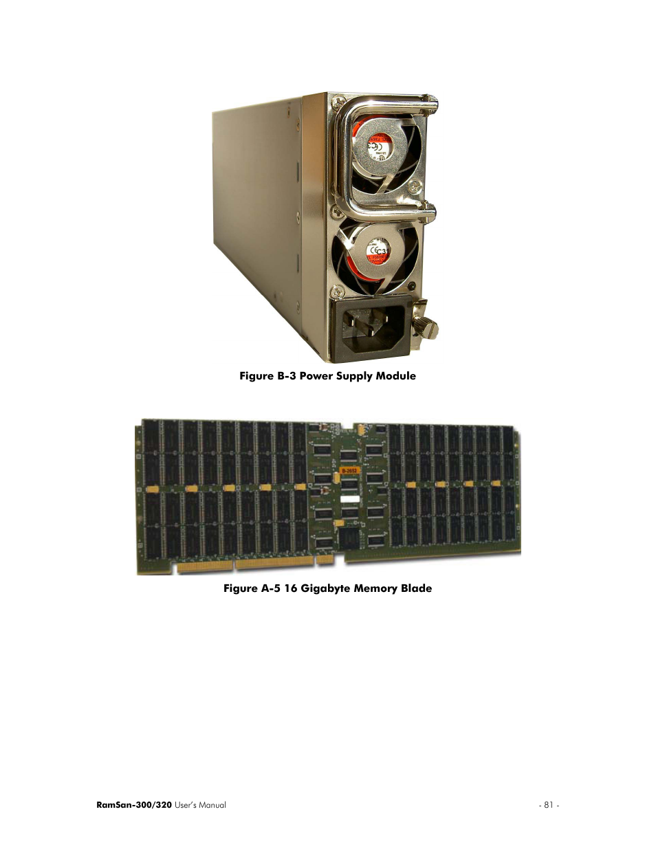 Texas Memory Systems RamSan-300/320 User Manual | Page 85 / 90