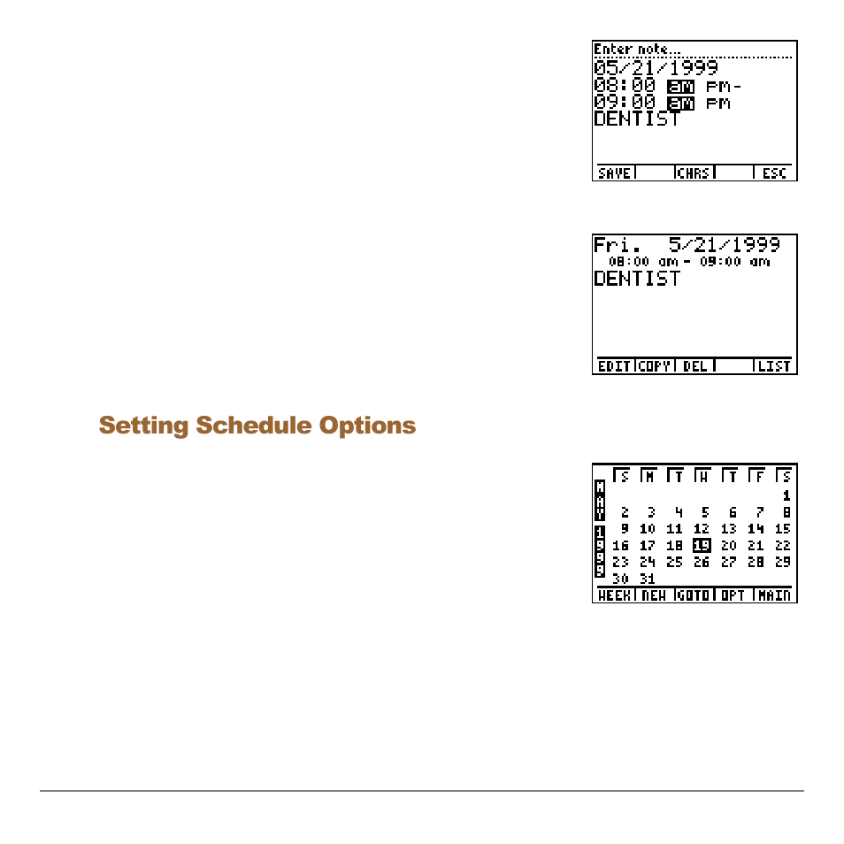 Setting schedule options | Texas Instruments Organizer for the TI-83 Plus User Manual | Page 17 / 44