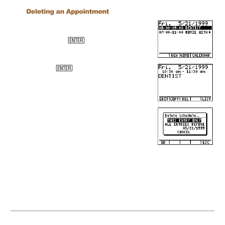 Deleting an appointment | Texas Instruments Organizer for the TI-83 Plus User Manual | Page 23 / 44