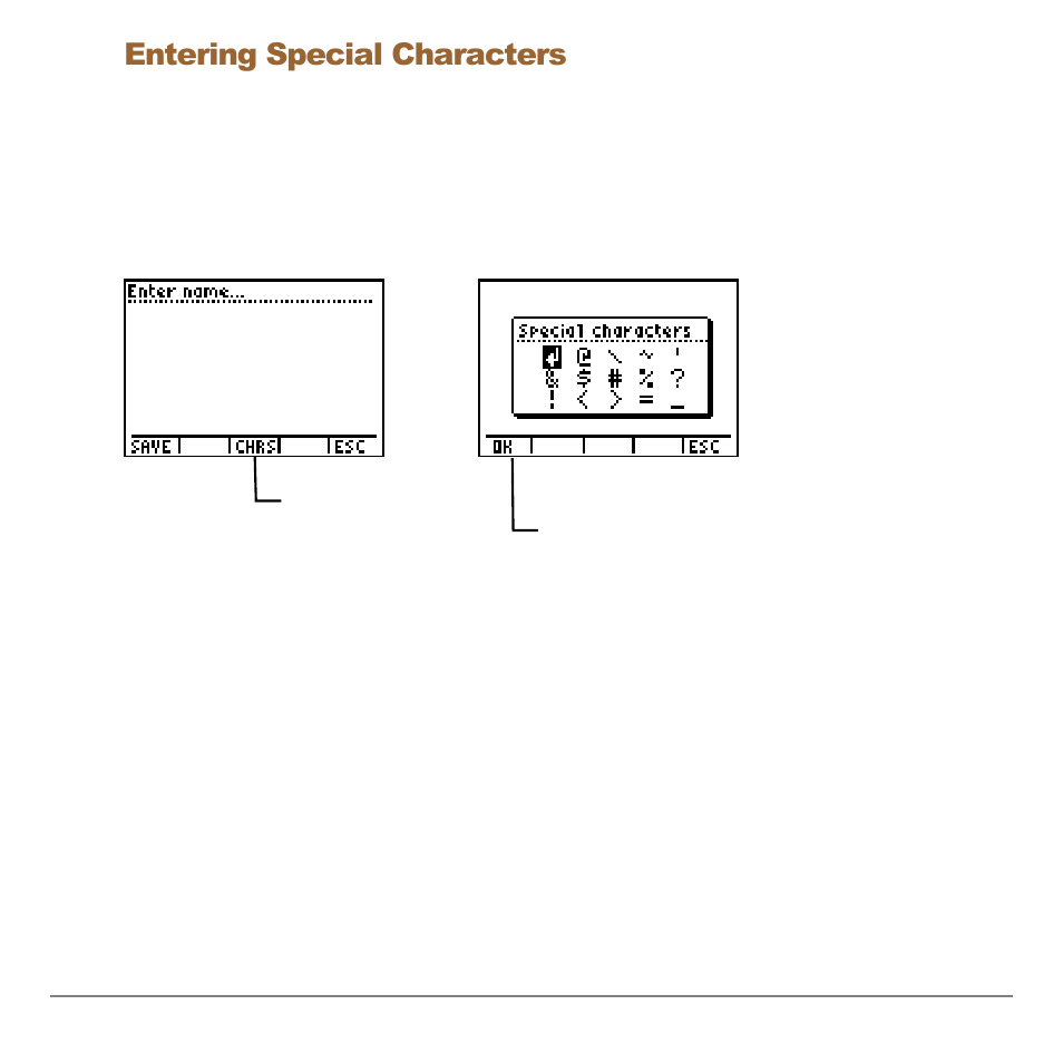 Entering special characters, Option at the bottom of the screen | Texas Instruments Organizer for the TI-83 Plus User Manual | Page 7 / 44