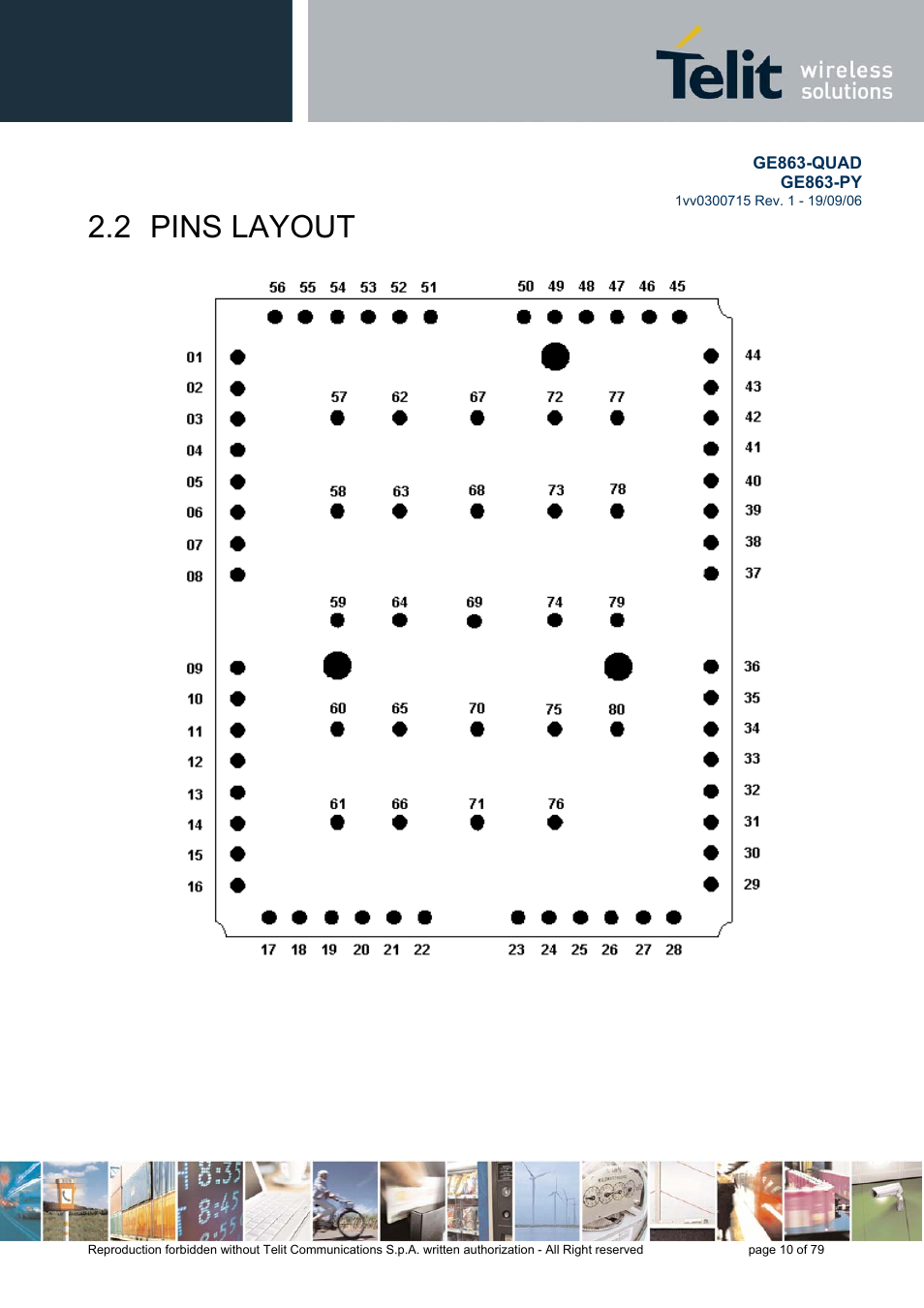 Pins layout, 2 pins layout | Telit Wireless Solutions GE863-QUAD User Manual | Page 10 / 79