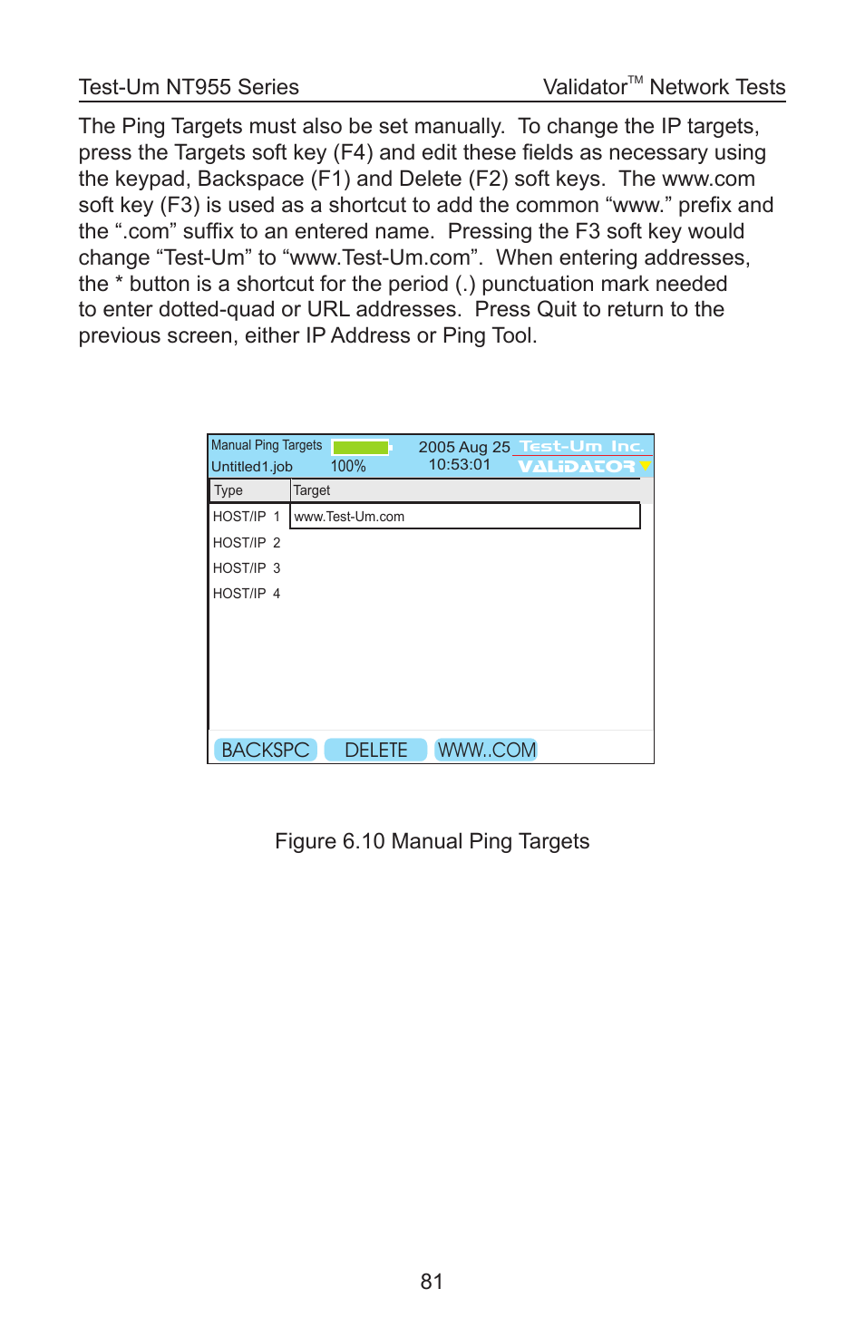 Figure 6.10 manual ping targets validator, Network tests | Test-Um VALIDATOR-NT NT955 User Manual | Page 82 / 97