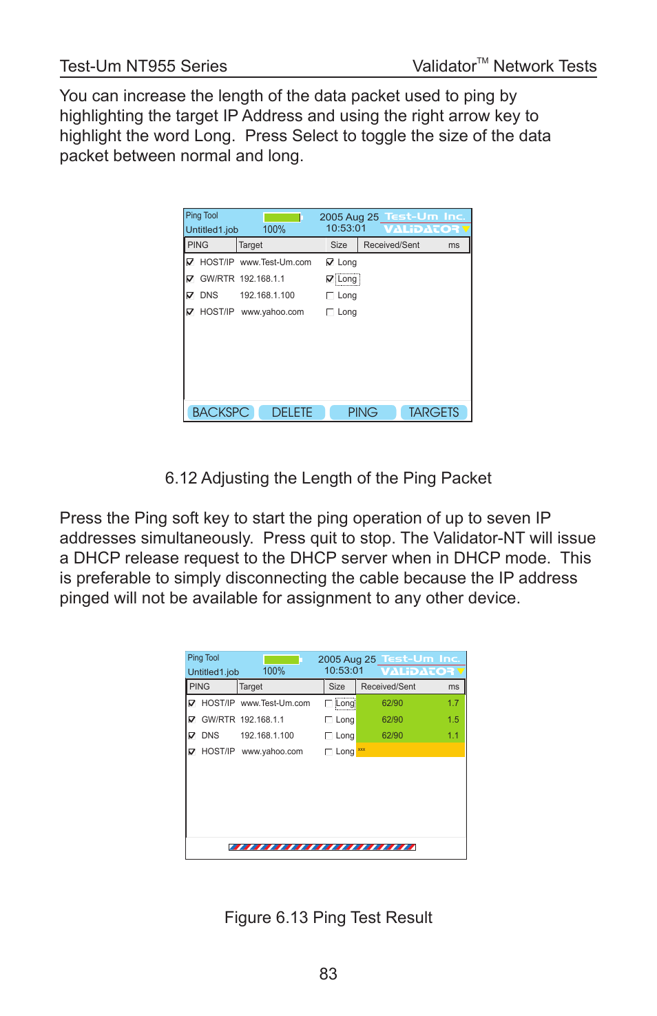 Figure 6.13 ping test result validator, Network tests | Test-Um VALIDATOR-NT NT955 User Manual | Page 84 / 97