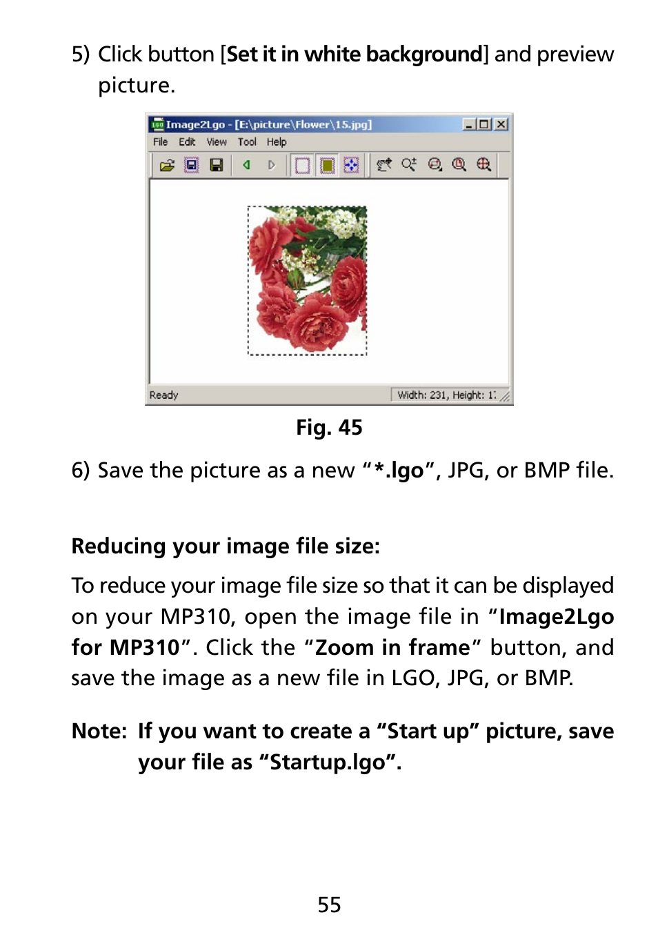 Truly electronic Mftg Digital Photo & Audio Player User Manual | Page 55 / 74