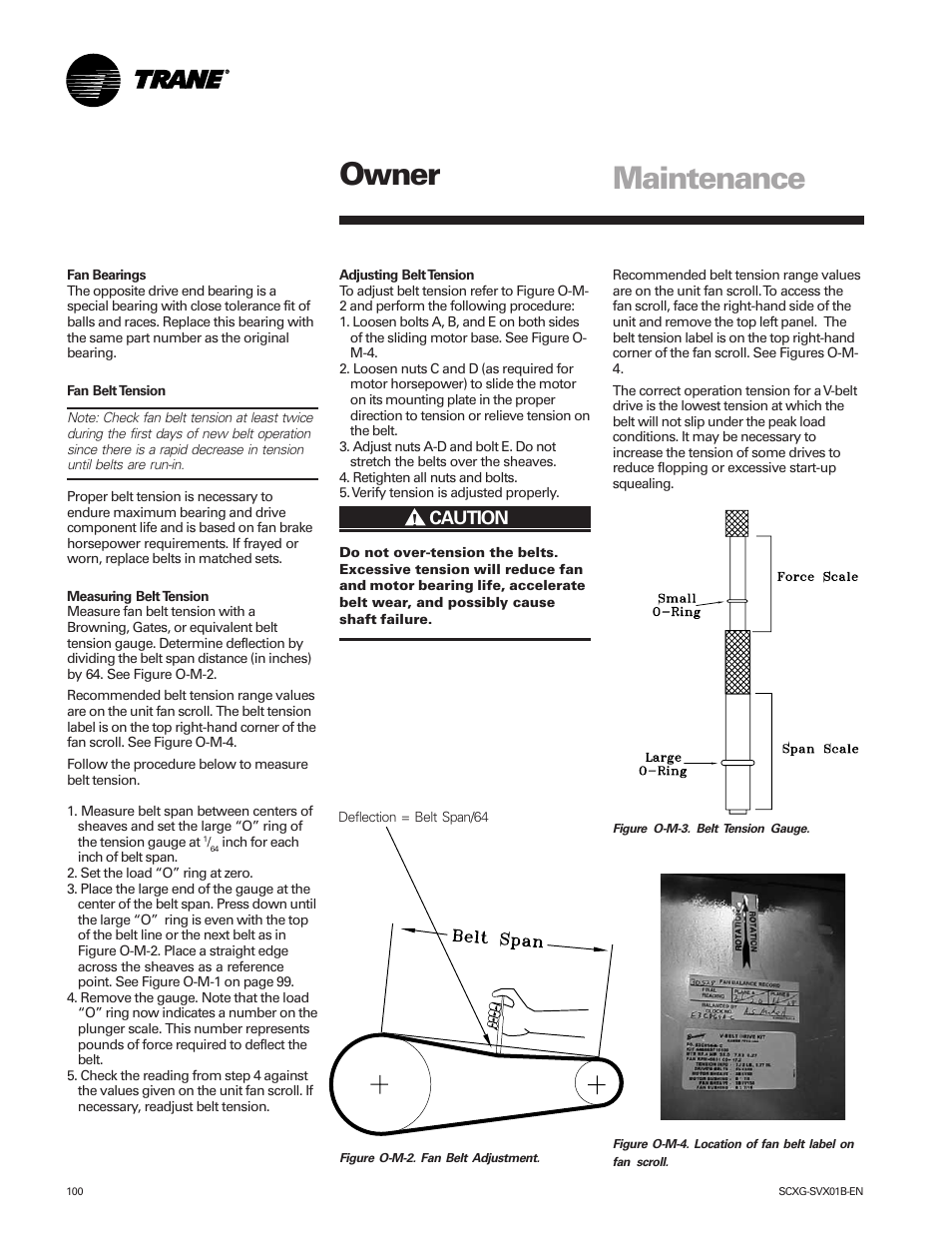 Owner maintenance, Caution | Trane IntelliPak SCWG 020 User Manual | Page 100 / 124