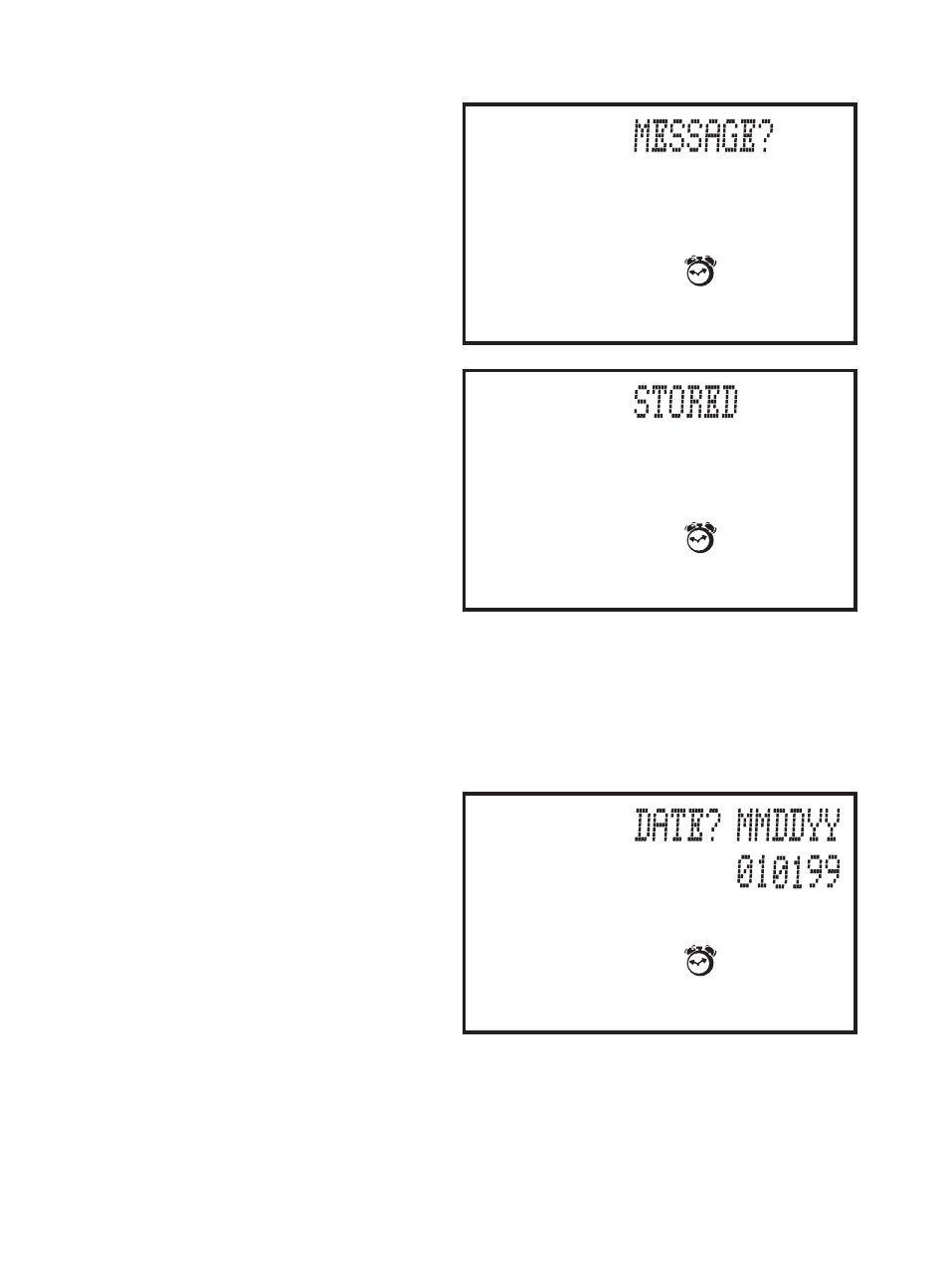 Tiger Dear Diary SnapShot Organizer 71-555 User Manual | Page 33 / 61