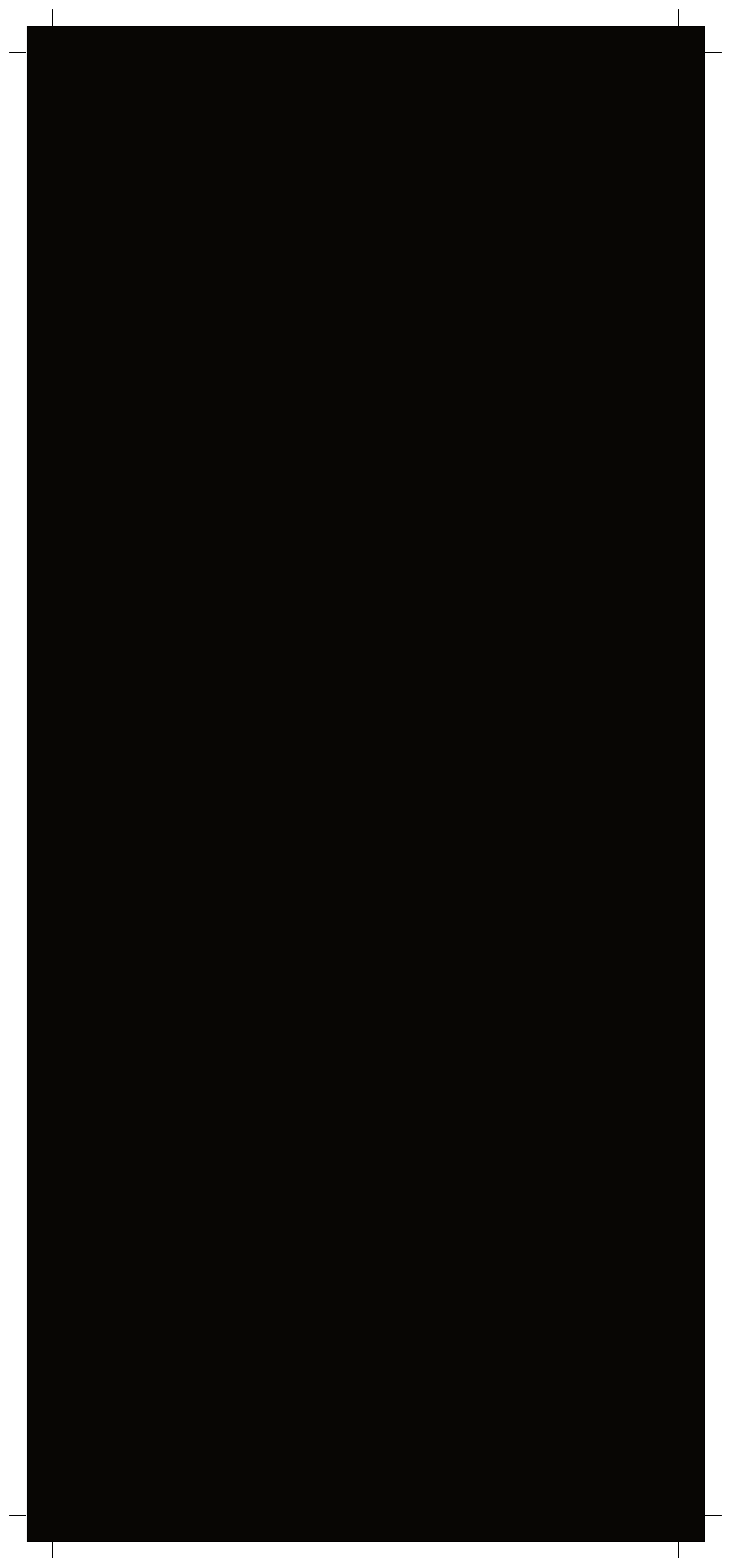 TOA Electronics ARENA TS300 User Manual | Page 11 / 12