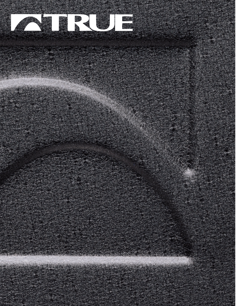 True Fitness 450 SERIES User Manual | 39 pages