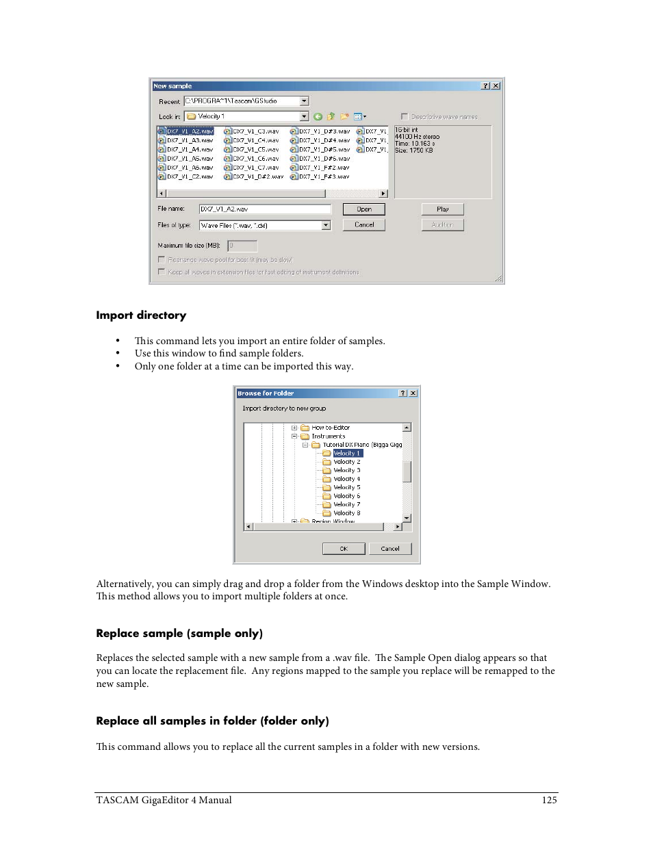 Tascam GigaStudio User Manual | Page 125 / 210