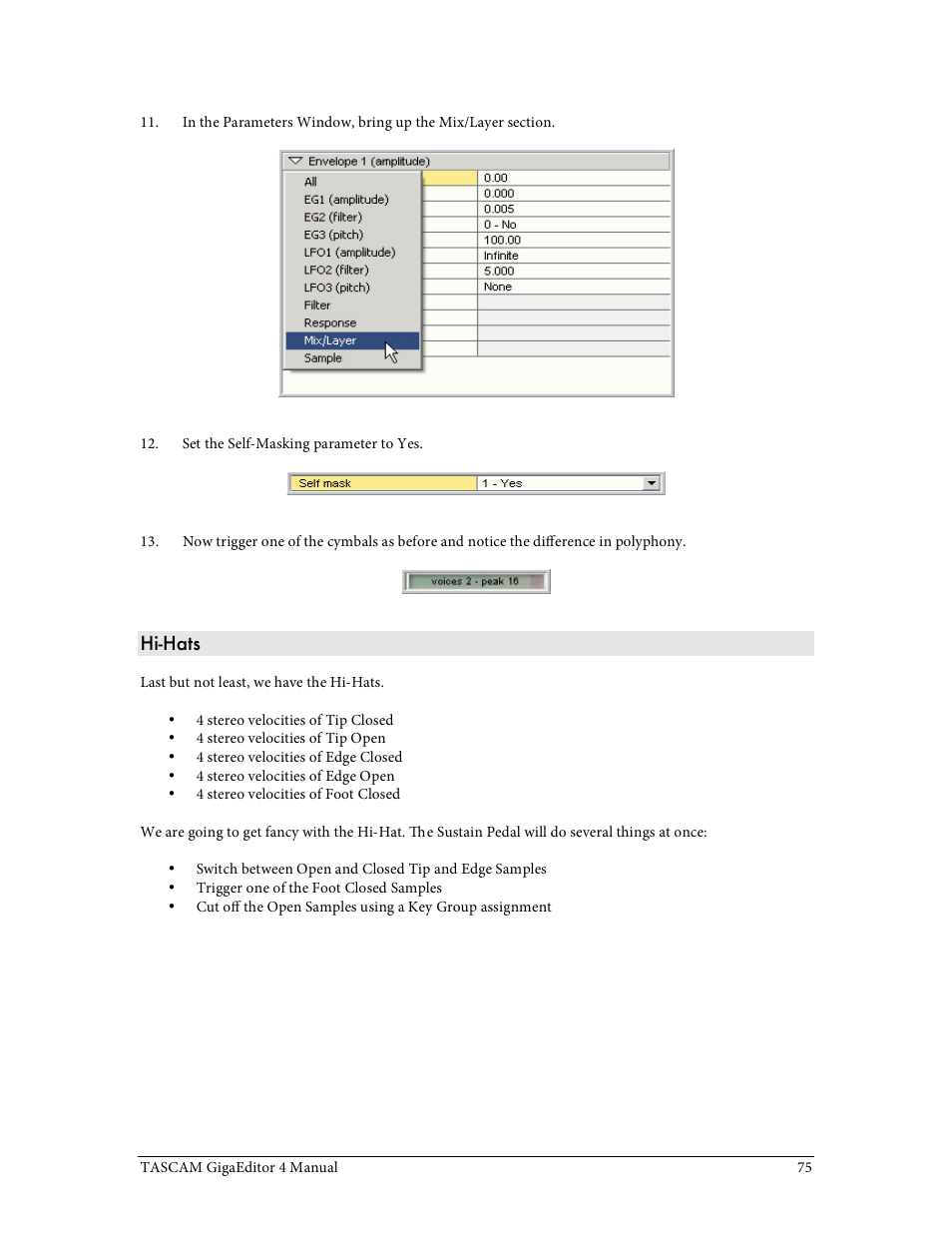 Tascam GigaStudio User Manual | Page 75 / 210