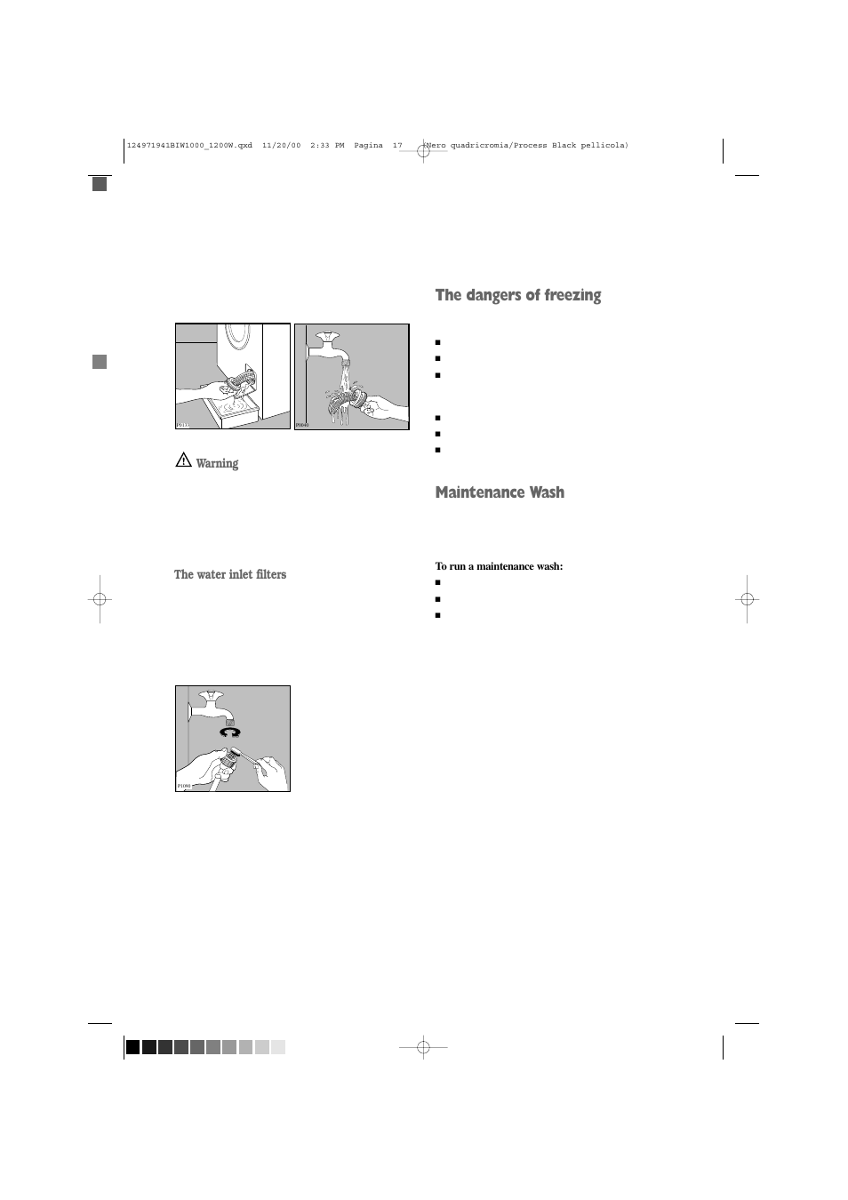 The dangers of freezing, Maintenance wash | Tricity Bendix BIW 1000W User Manual | Page 17 / 28