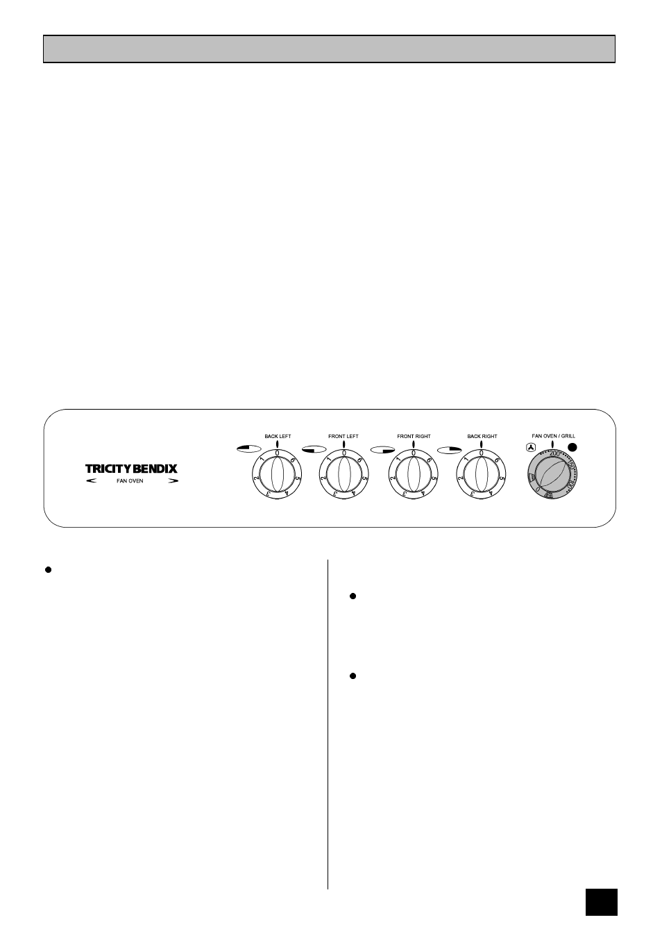 The fan oven | Tricity Bendix SI 251 User Manual | Page 15 / 28